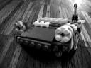 porsche-preview.jpg