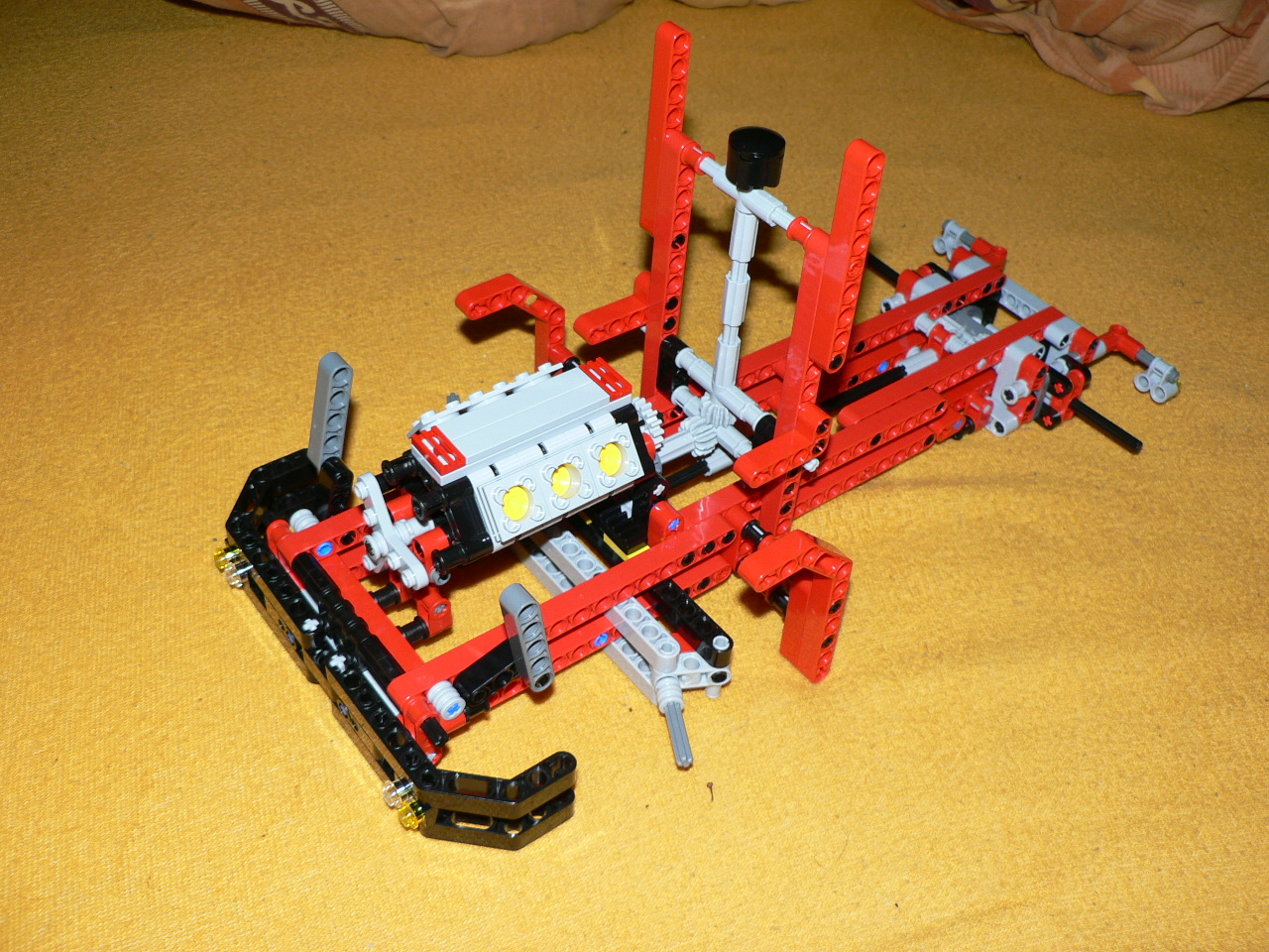 p1060776.jpg