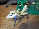 antlion.jpg