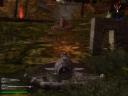 swamp_tank.jpg