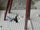 dsc08634.jpg