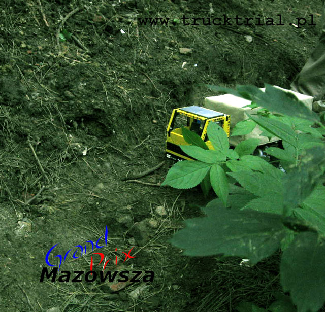maz-zza-krzaka.jpg