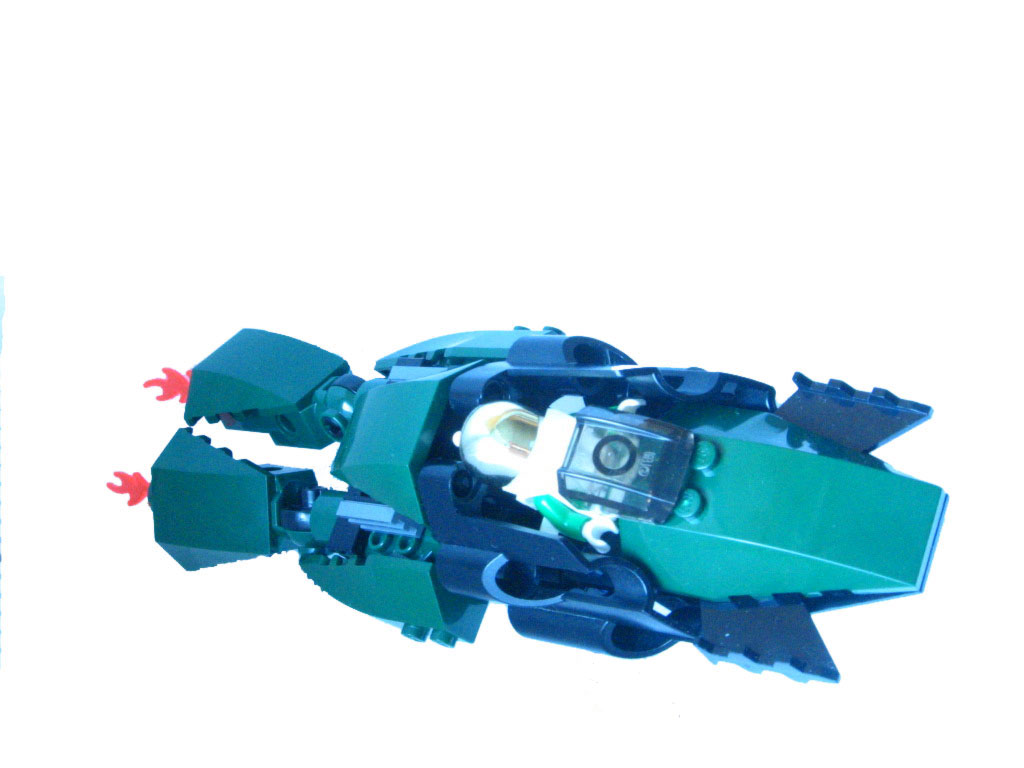 tc-frog-246-light-014.jpg