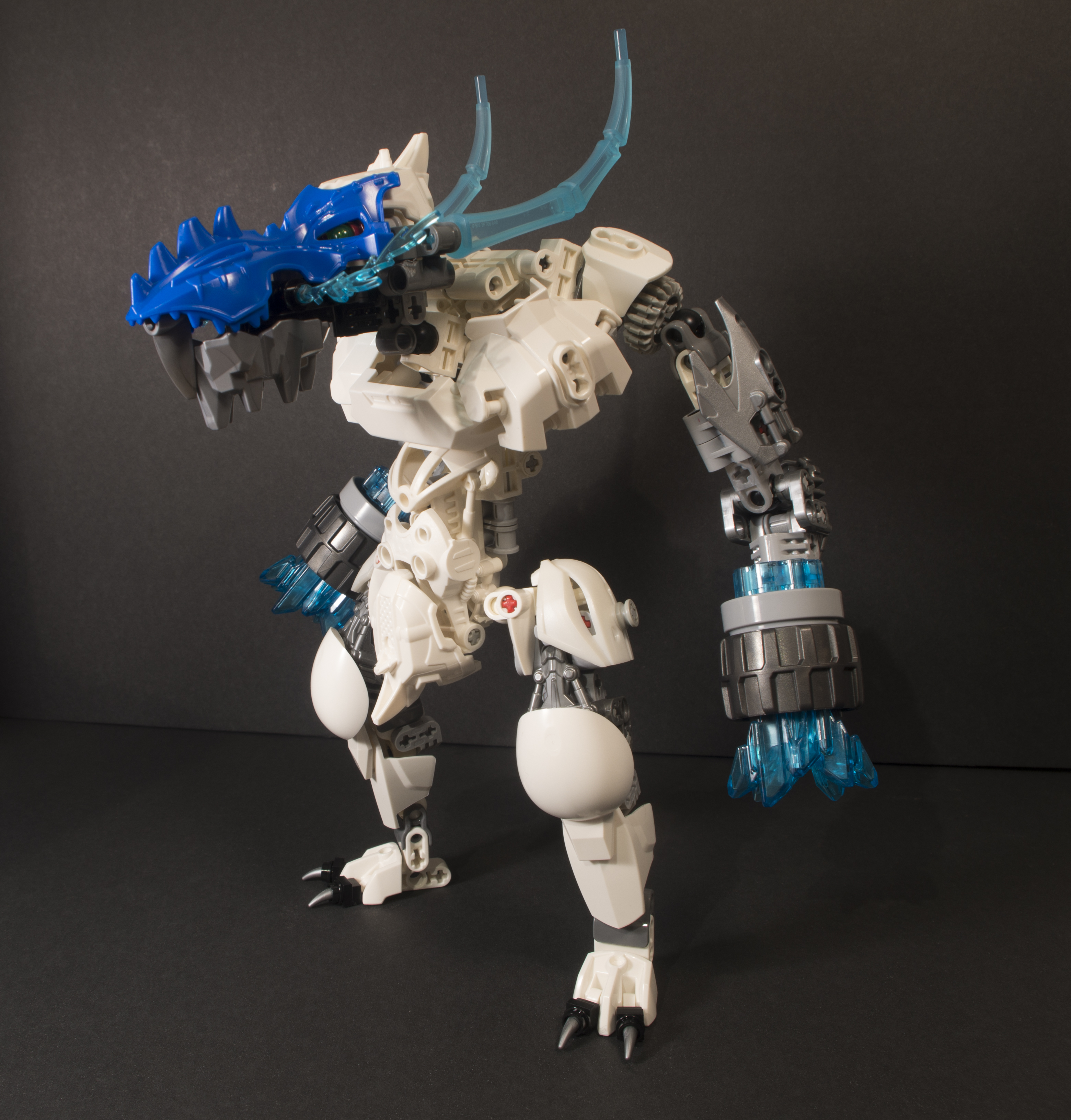 ice_rahi_bc17-3.jpg