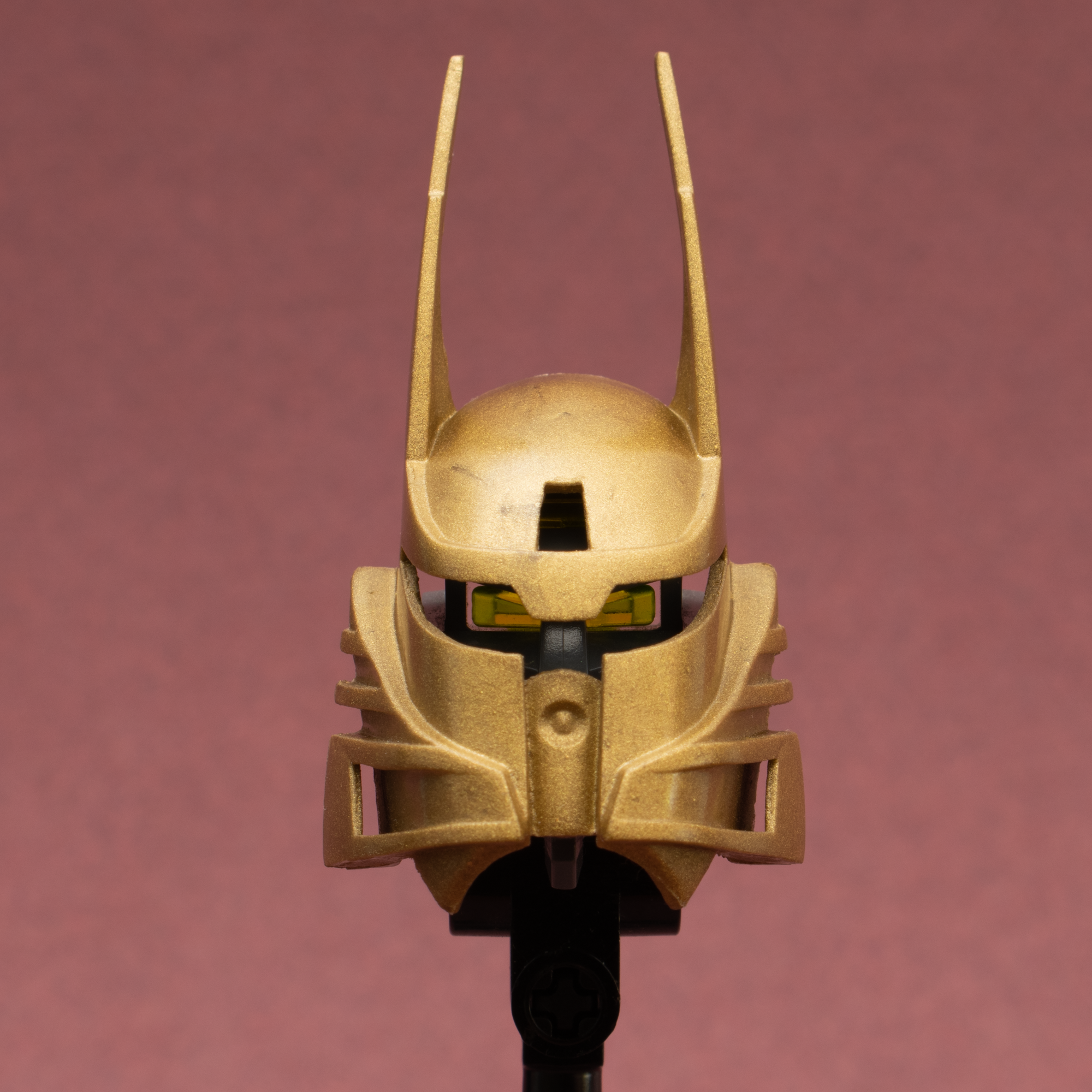 dsc_03502kpx.png