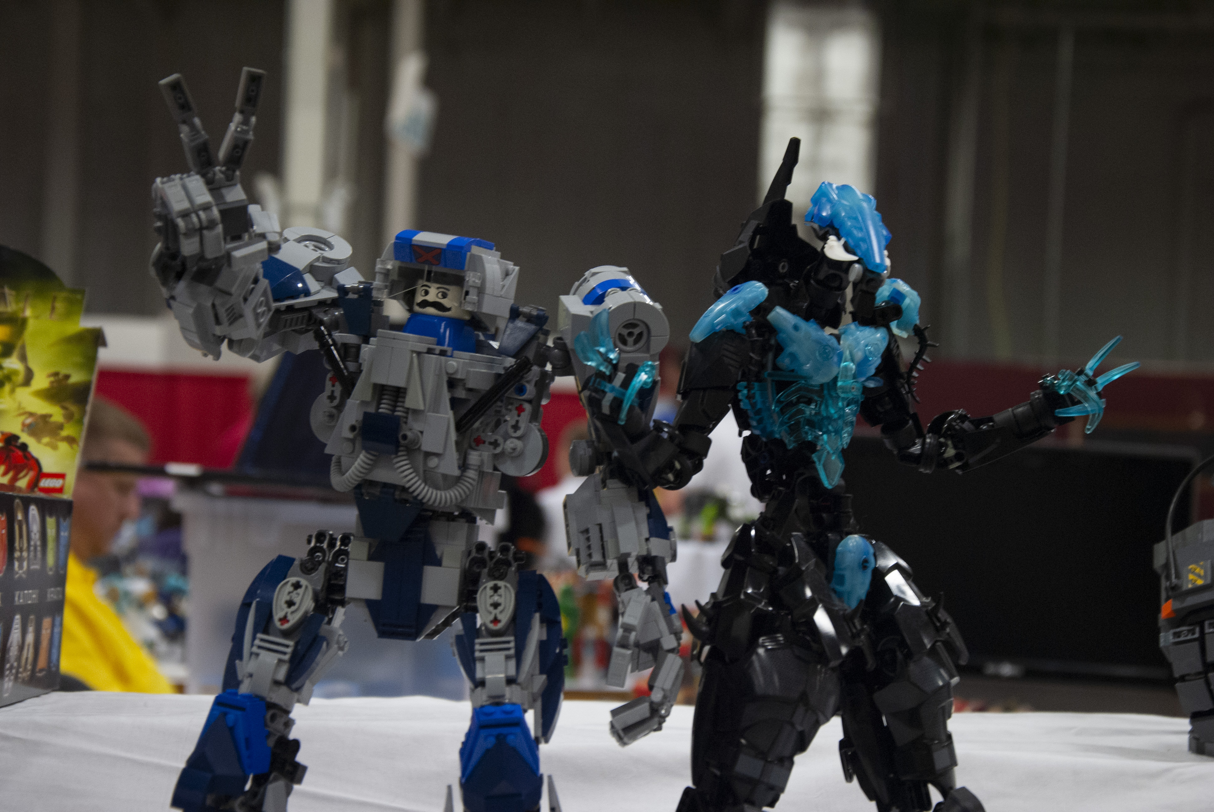 bfva-2018-01.jpg