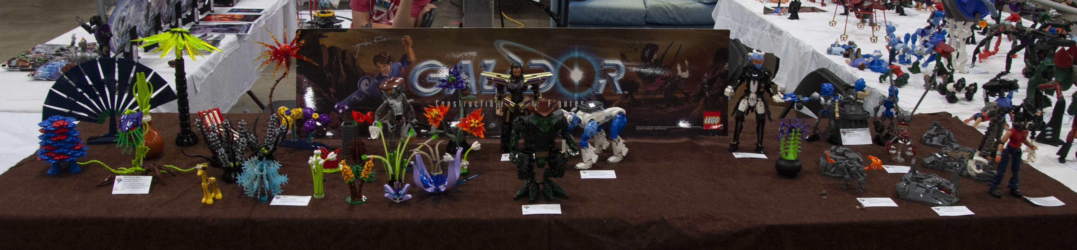 bfva-2018-15.jpg
