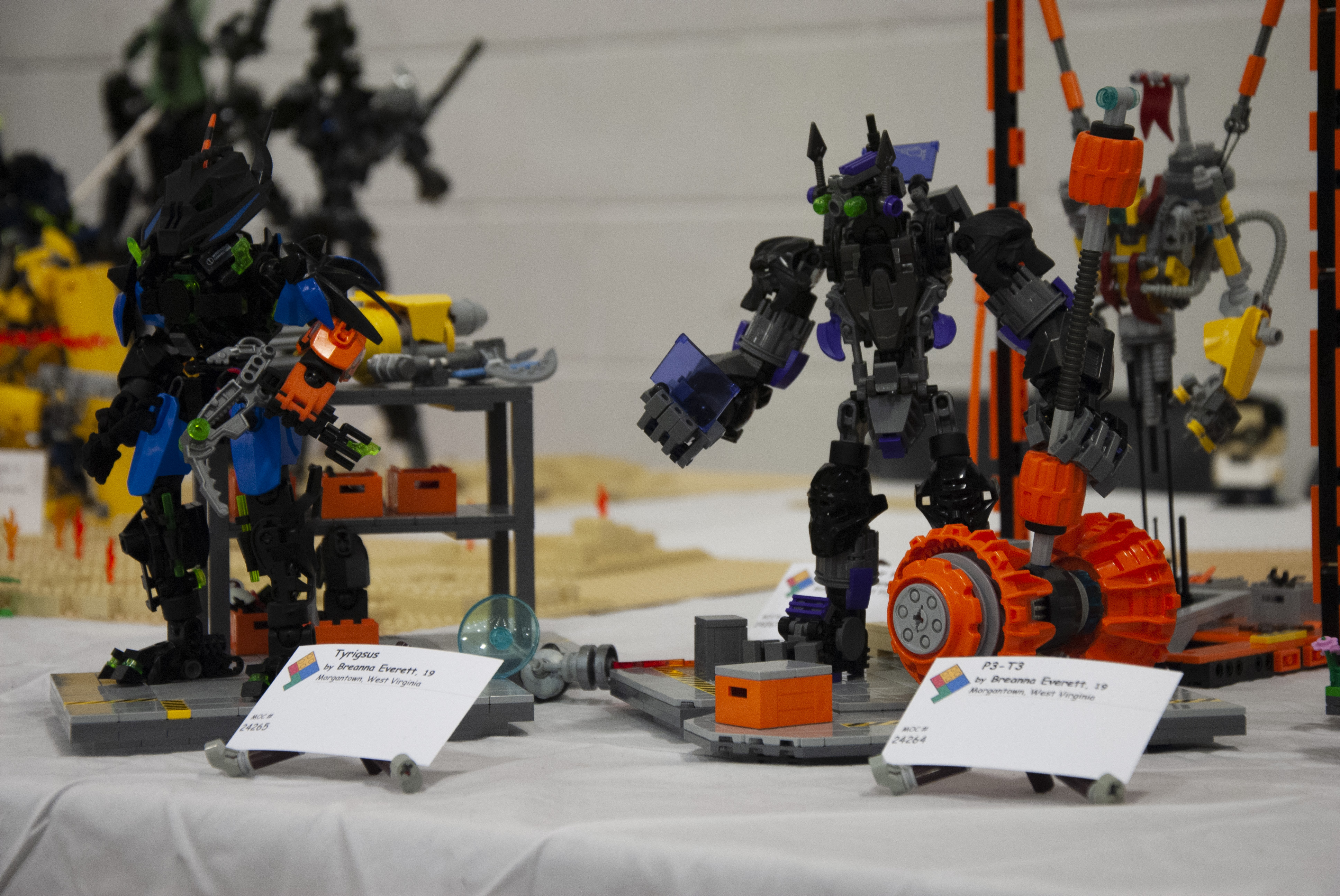 bfva-2018-17.jpg