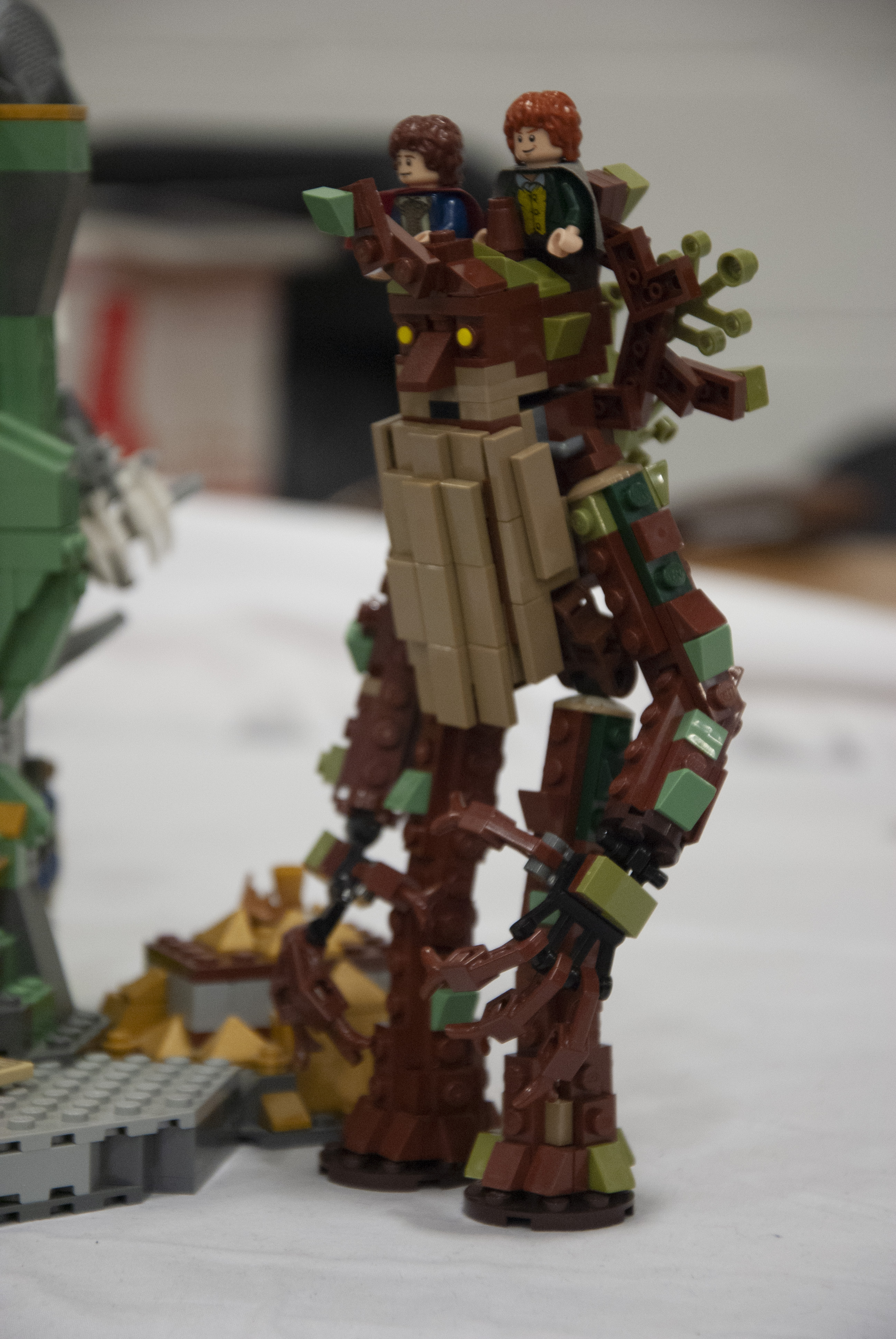 bfva-2018-20.jpg