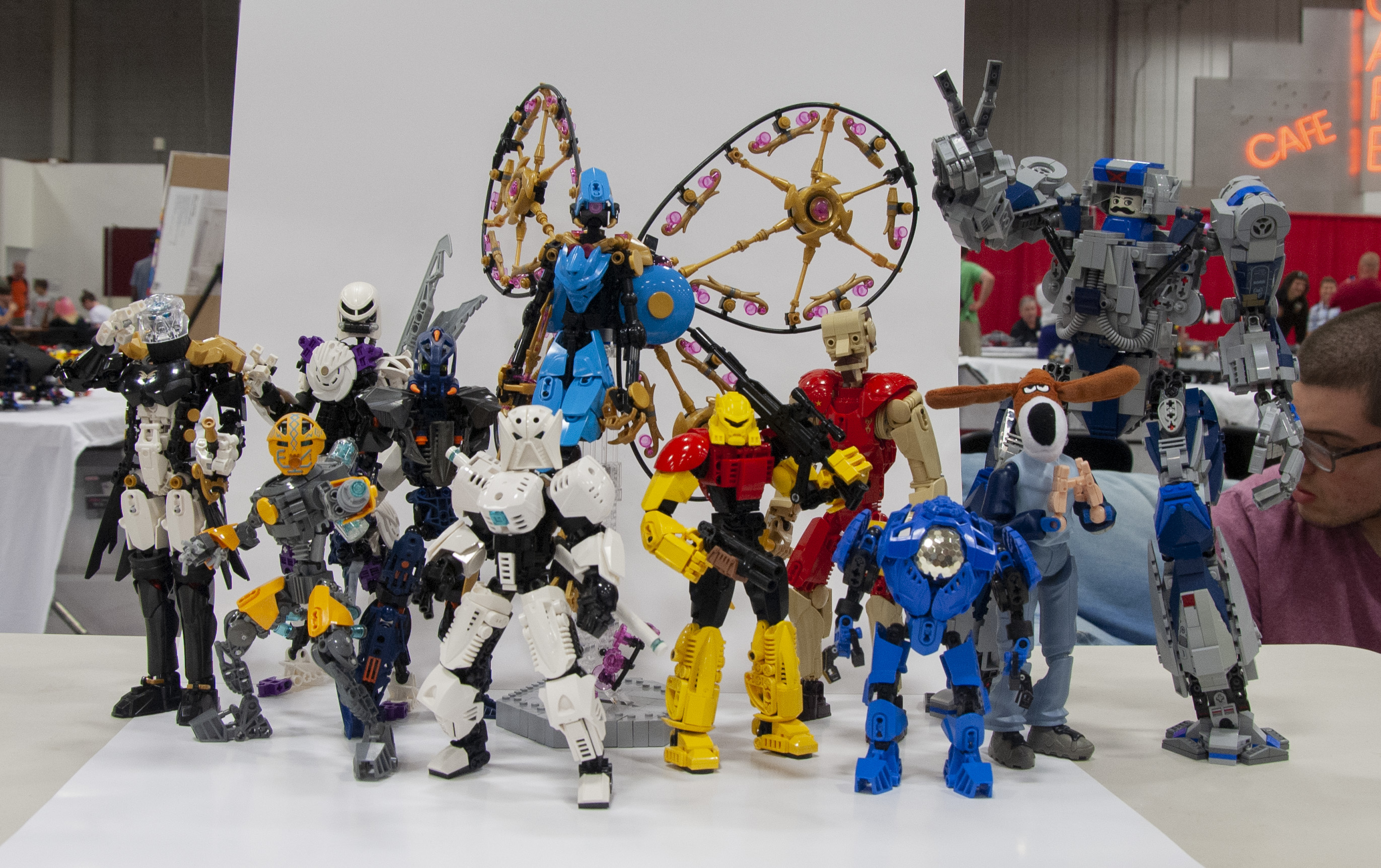 bfva-2018-27.jpg