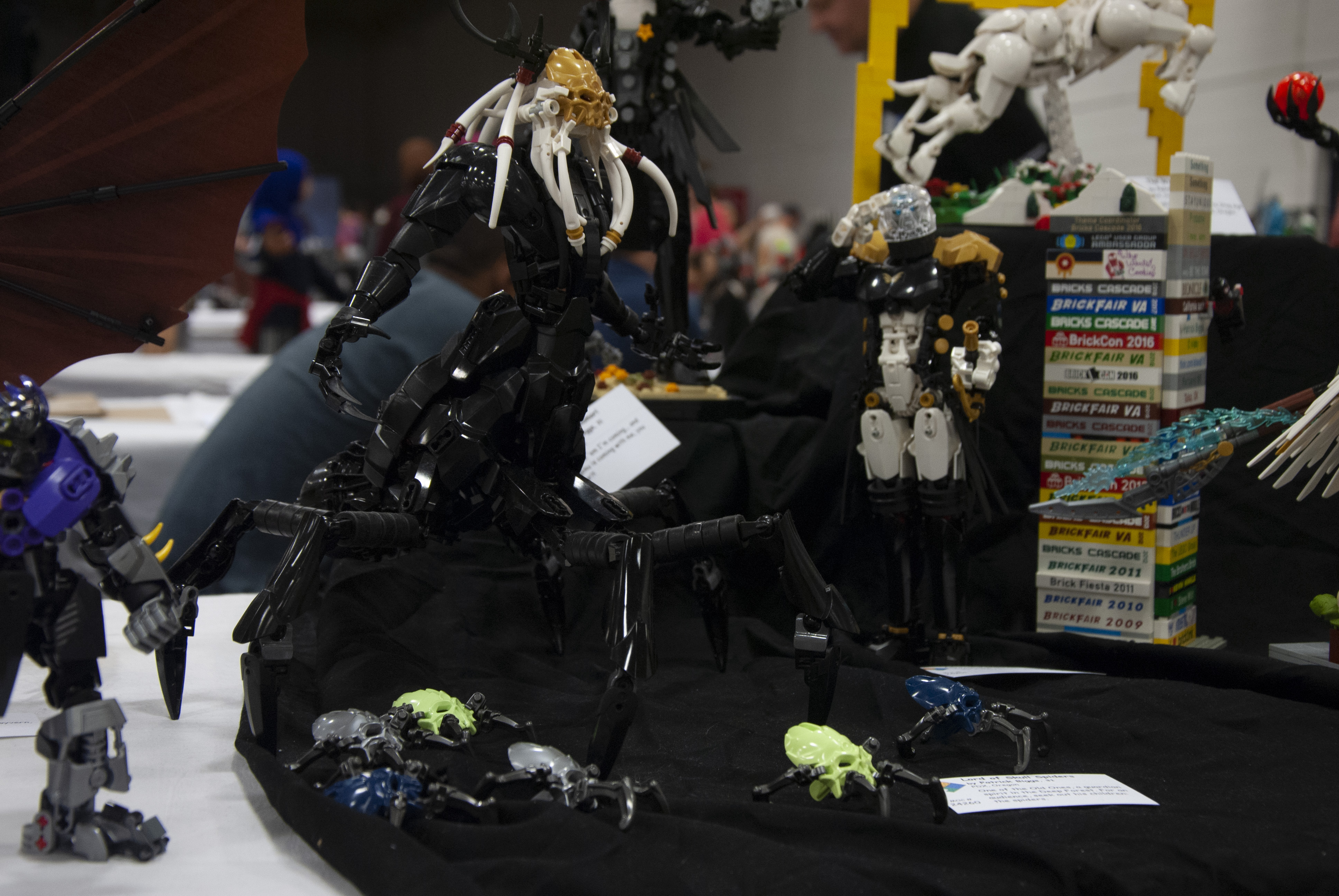 bfva-2018-37.jpg