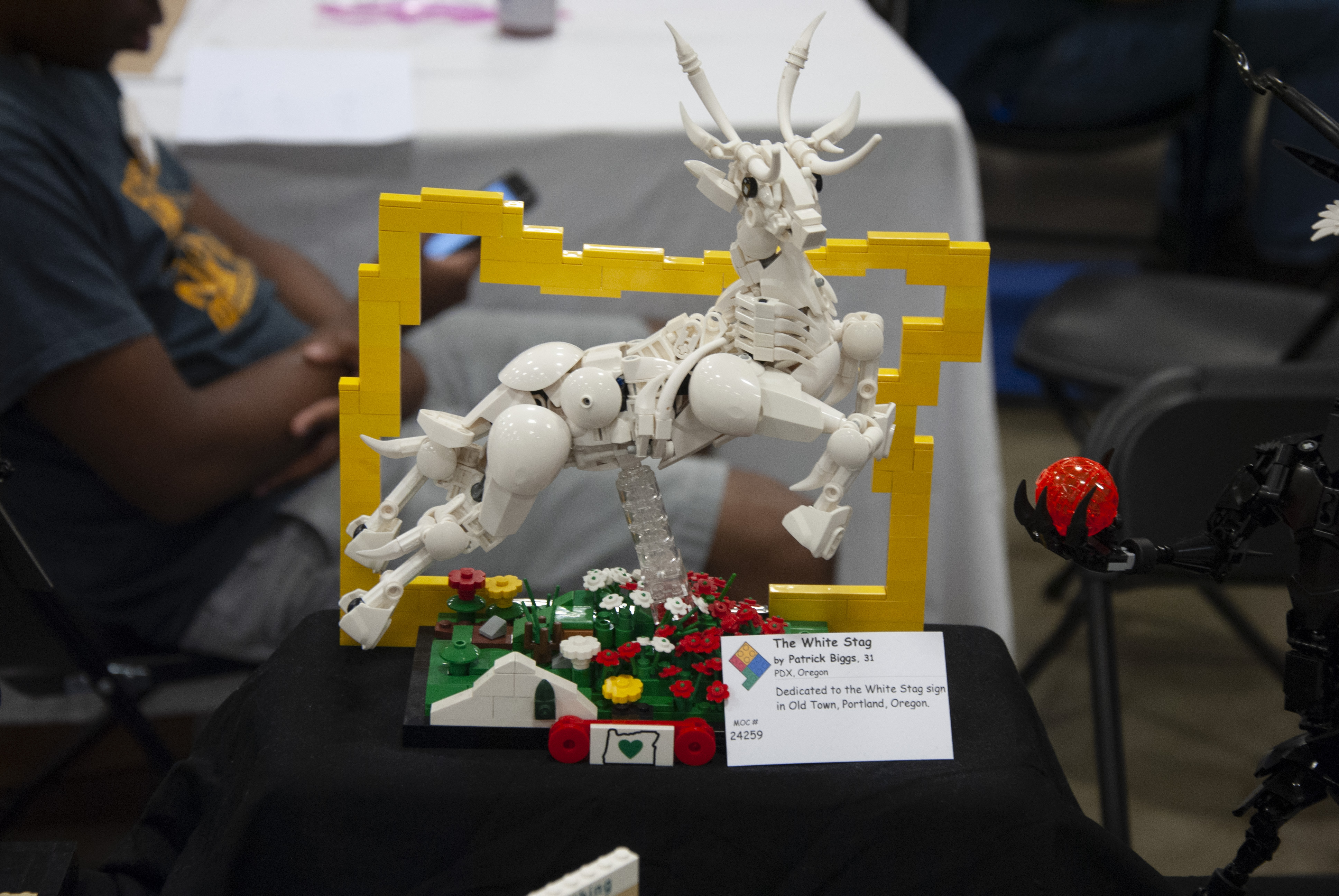 bfva-2018-39.jpg