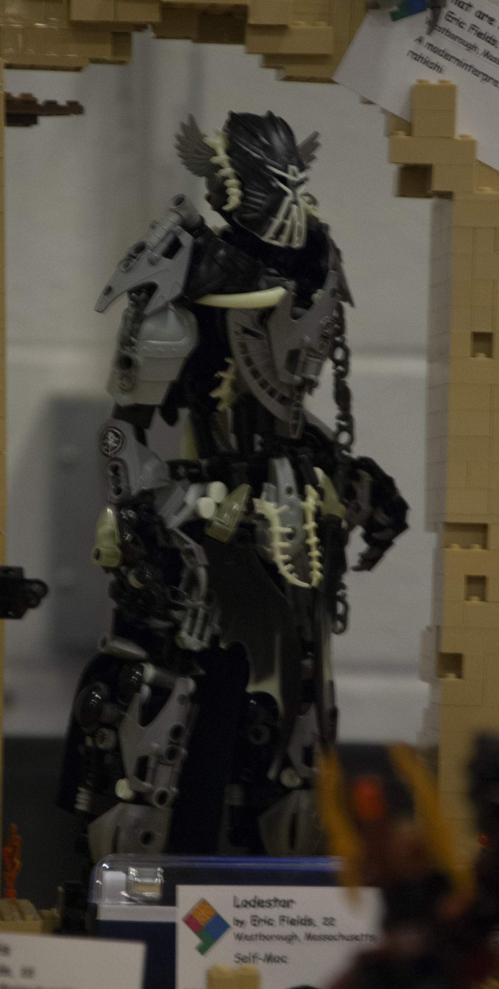 bfva-2018-44.jpg