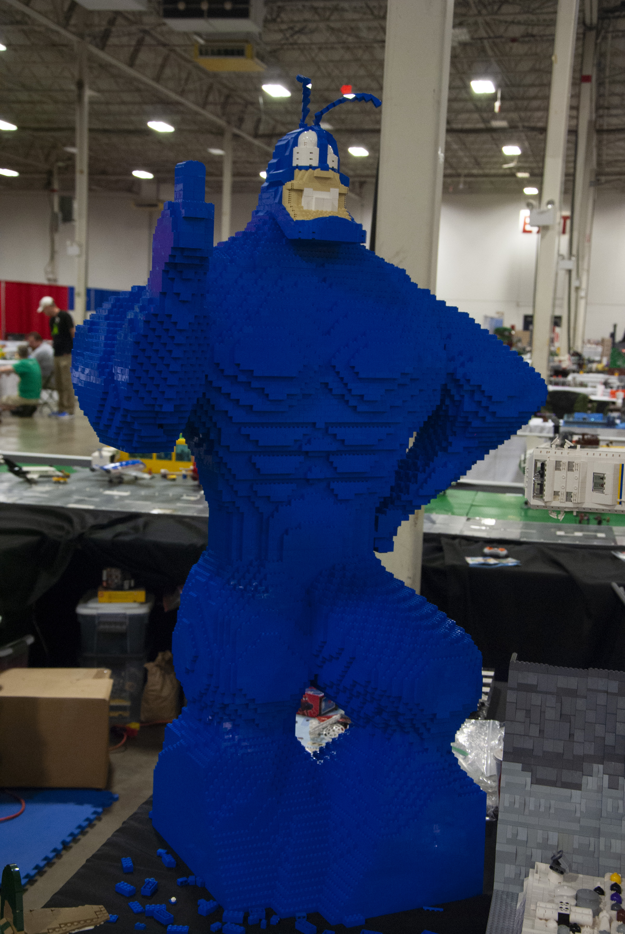 bfva-2018-45.jpg