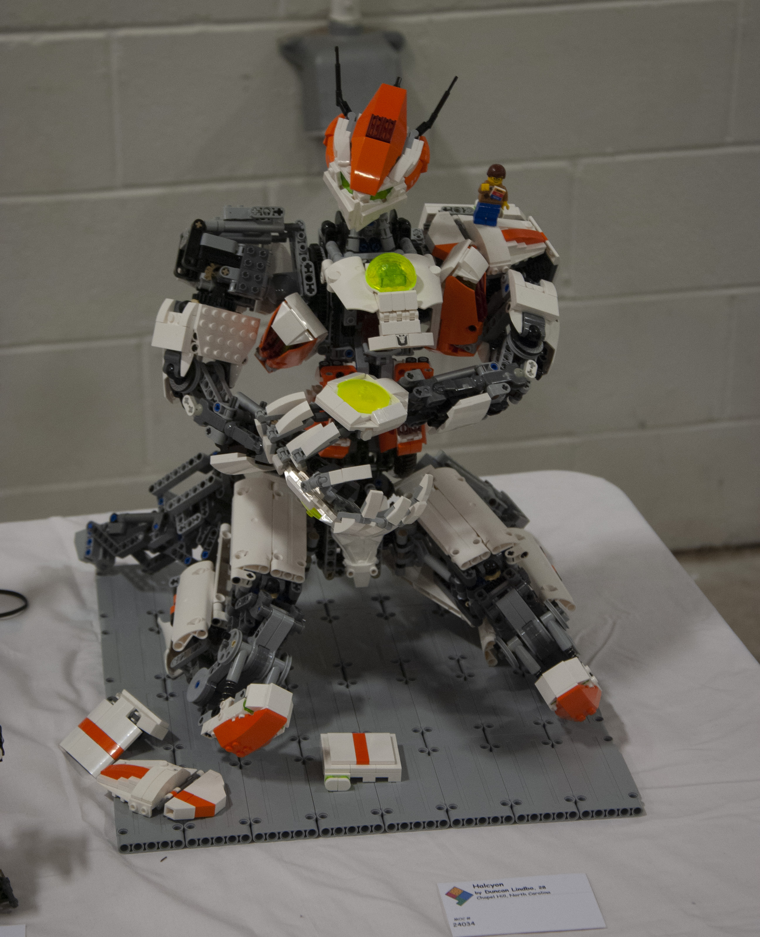 bfva-2018-48.jpg
