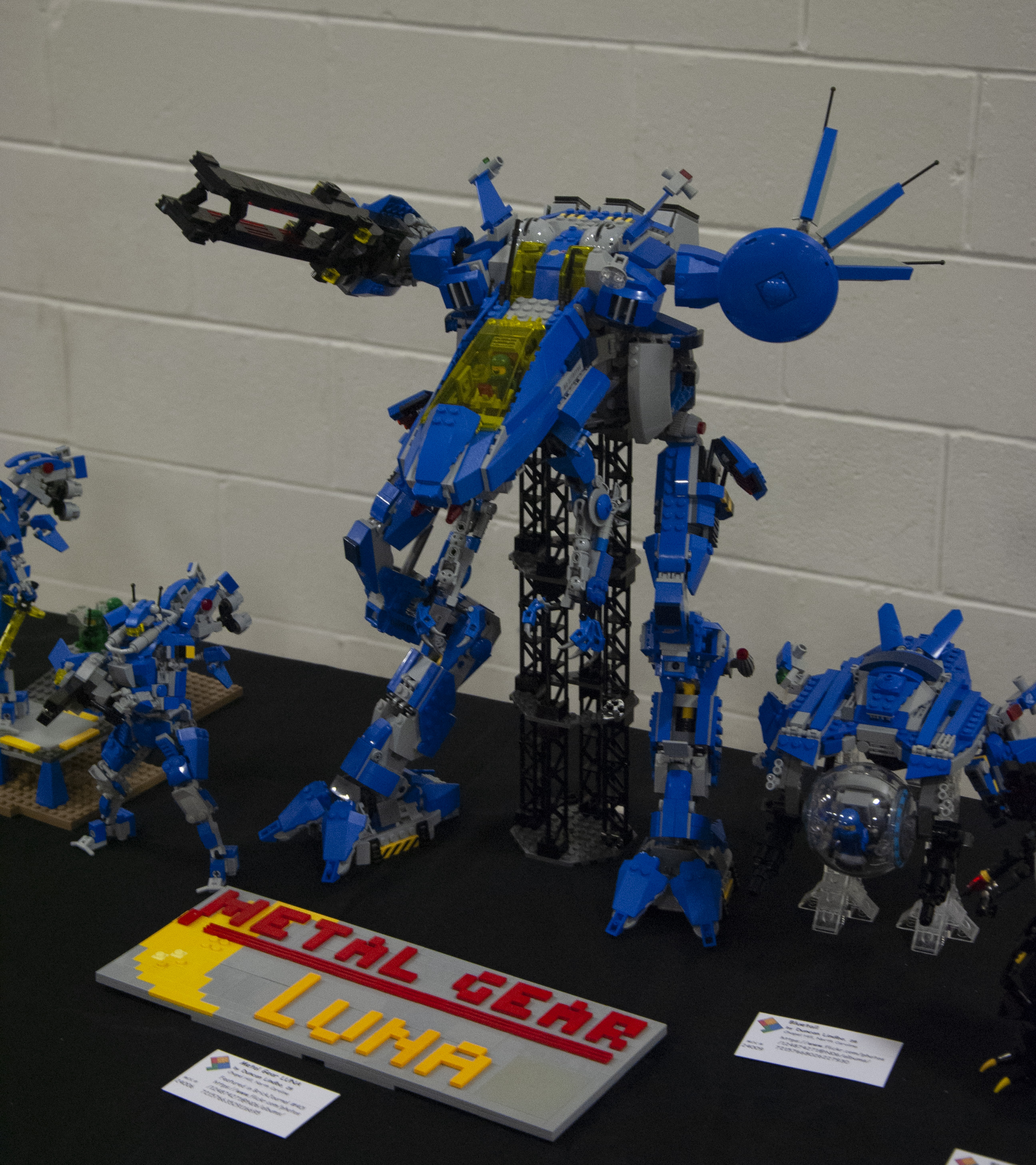 bfva-2018-57.jpg