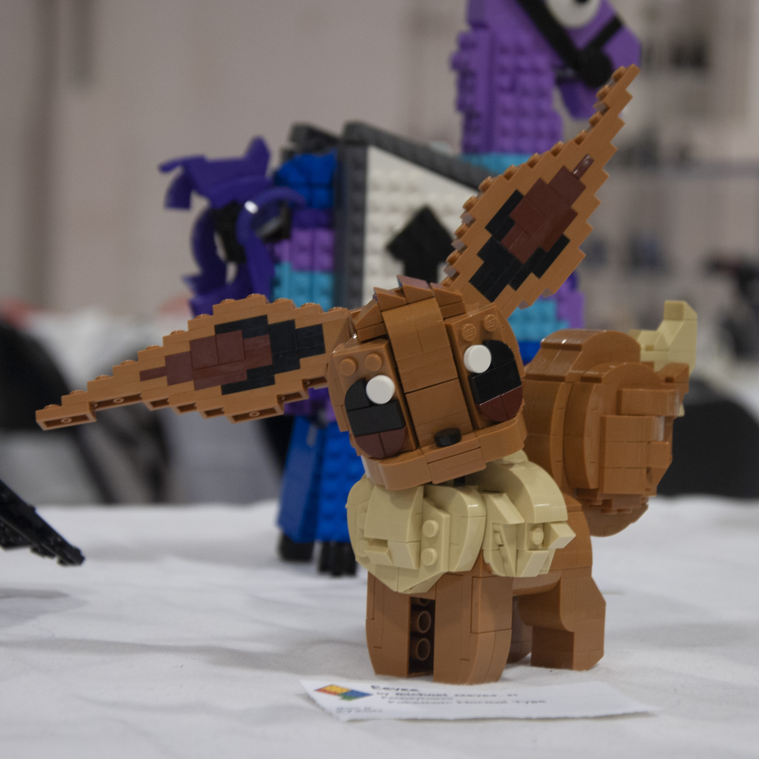 bfva-2018-64.jpg