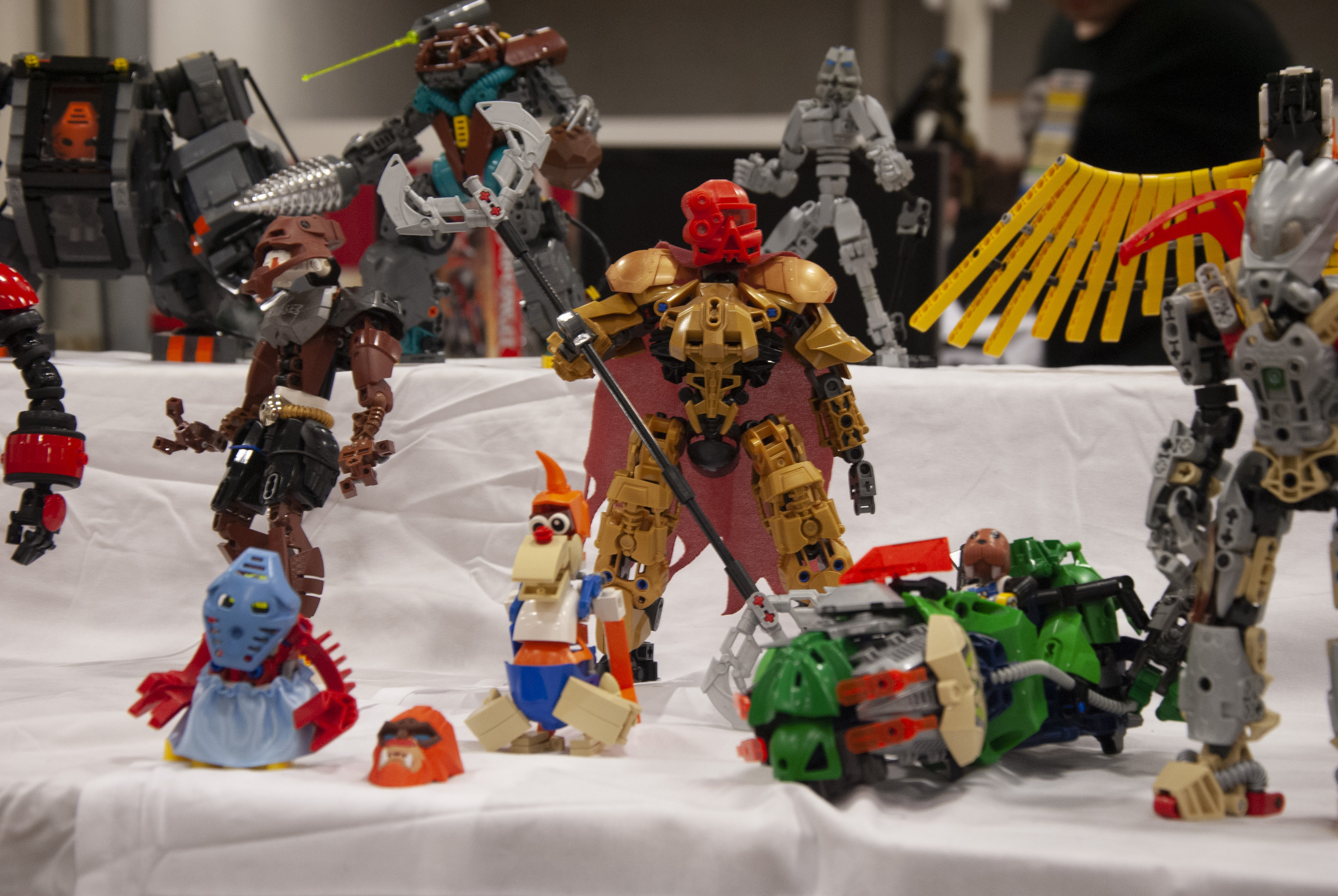 bfva-2018-76.jpg