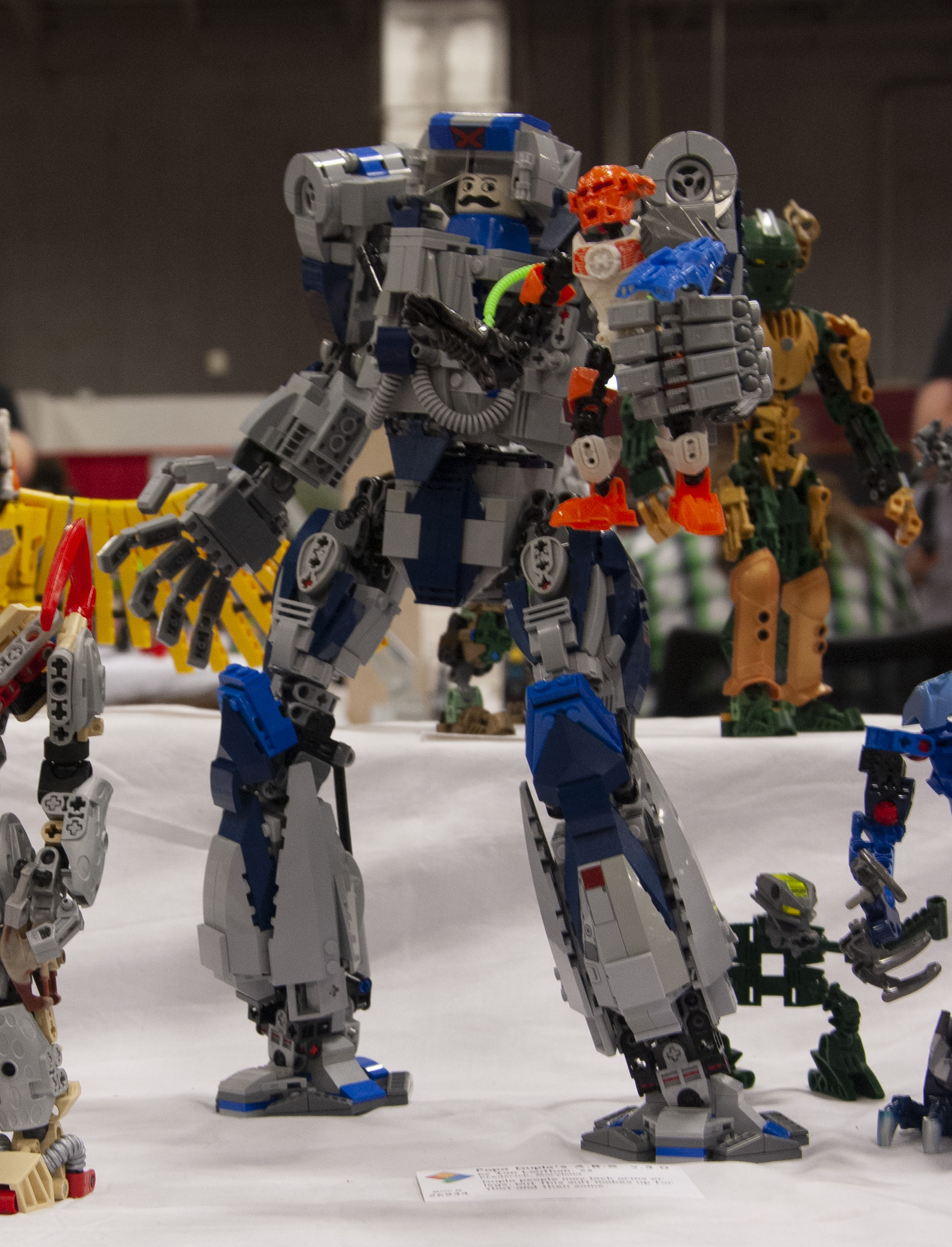 bfva-2018-77.jpg