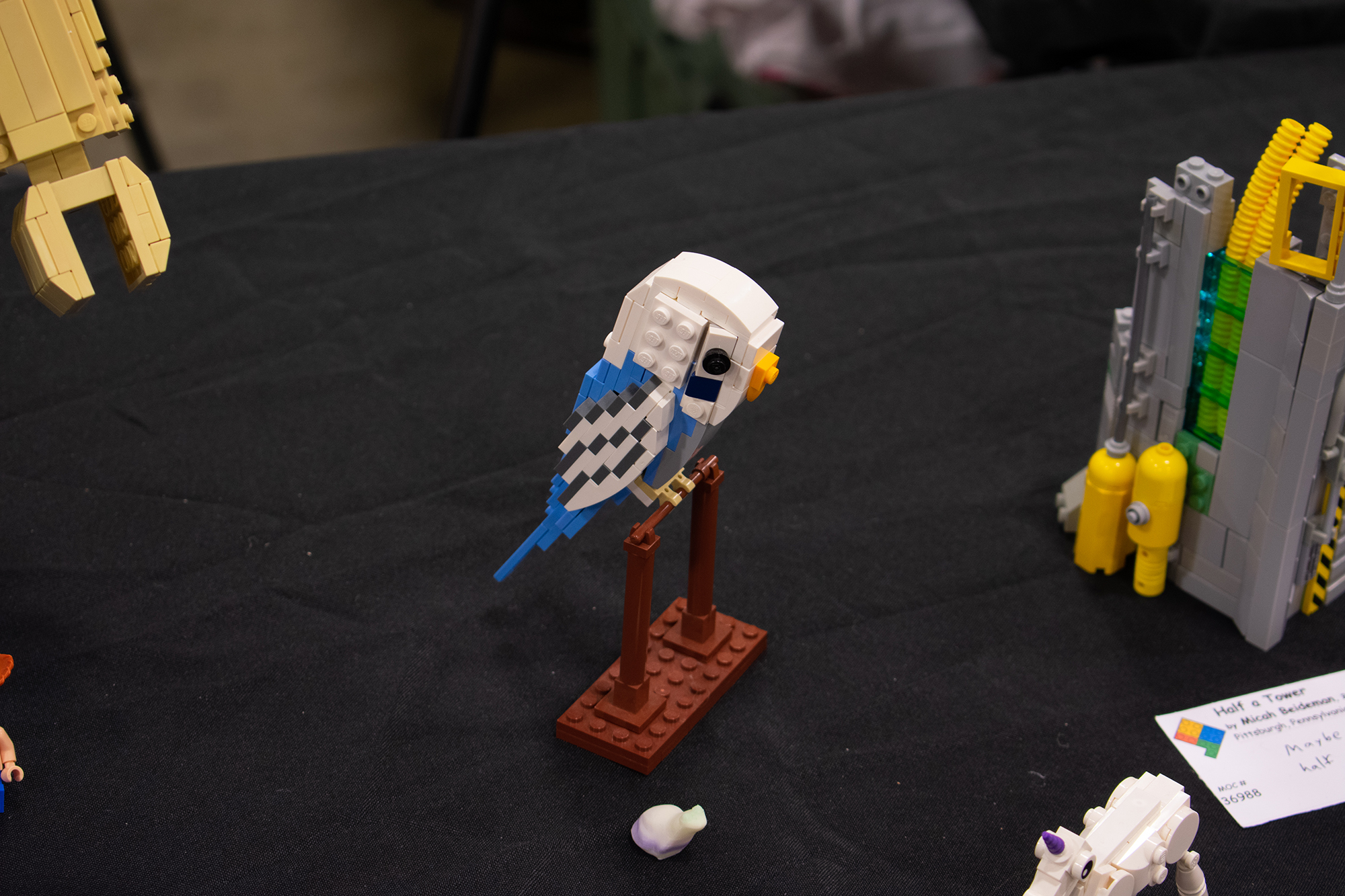 dsc_0085.jpg