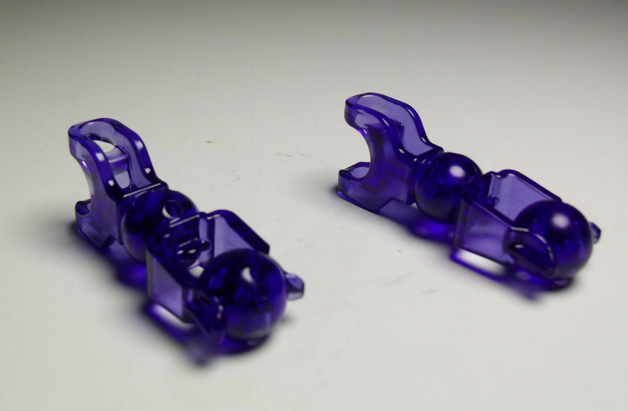 ccbs_purpbone_1.jpg