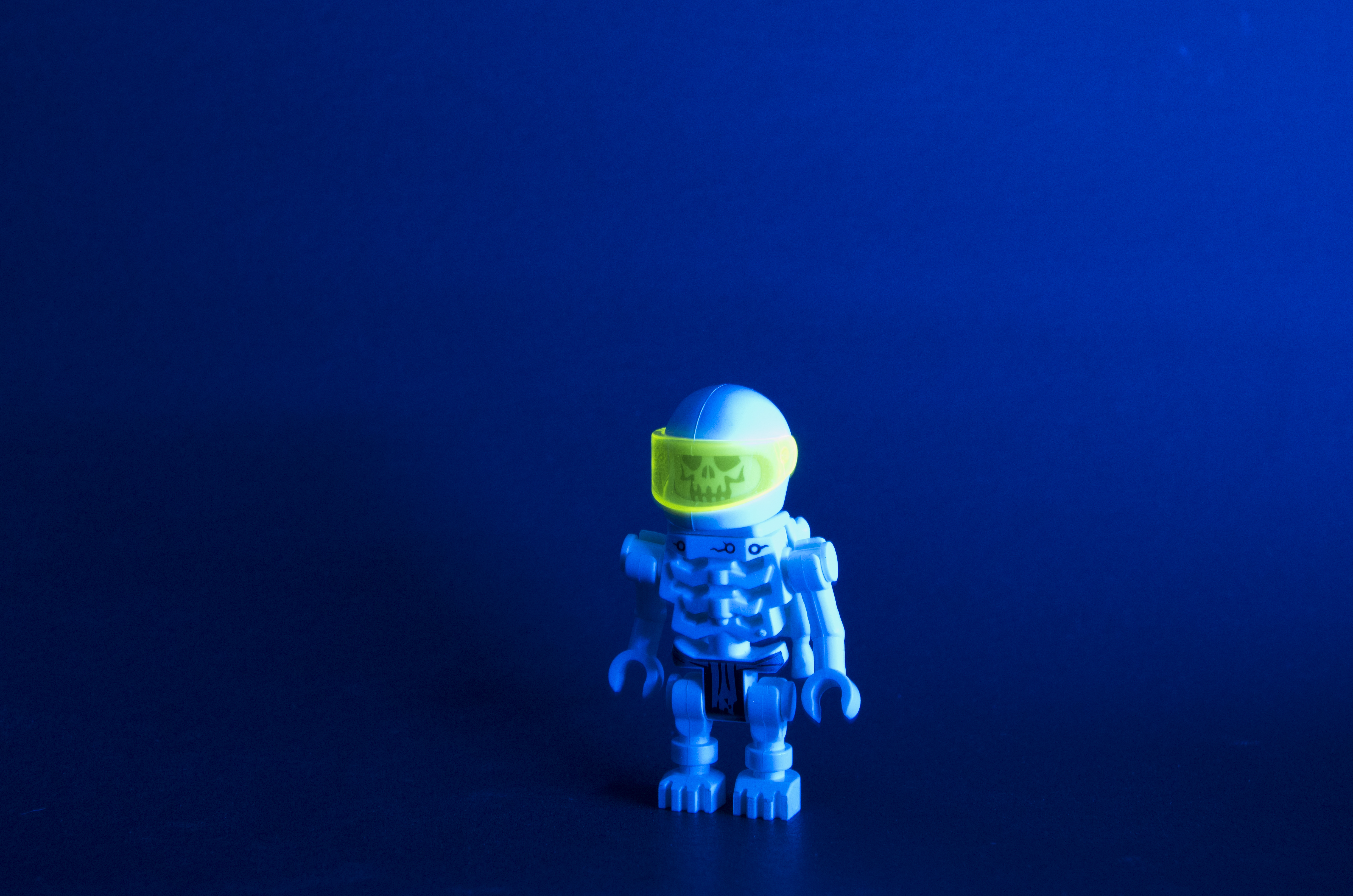 space_skeleton2.jpg