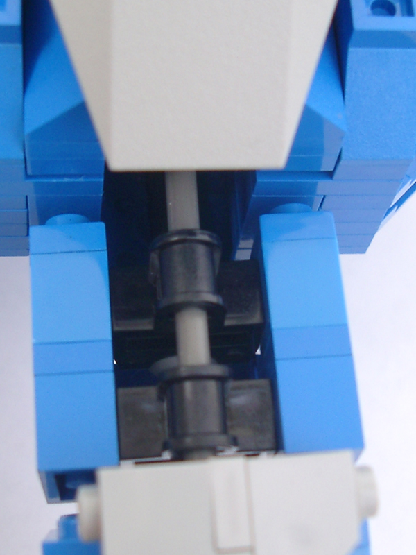 spinejointtechback.jpg