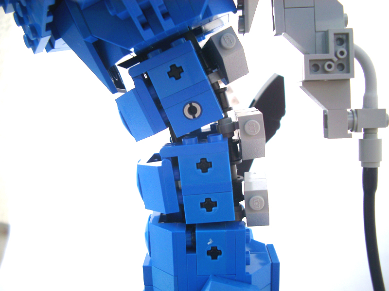 torso.jpg
