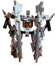 g_type_2a_rear.jpg