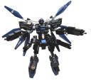w_type_3a_full_burst_1.jpg