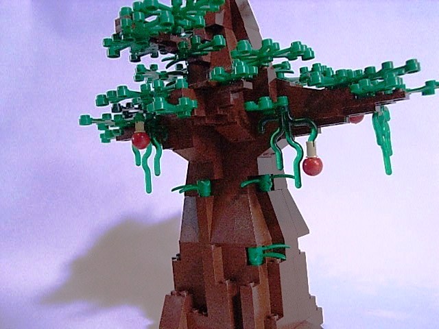 05.jpg