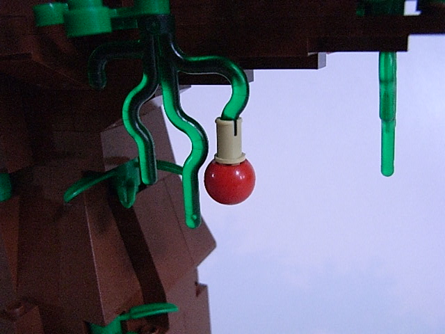 06.jpg