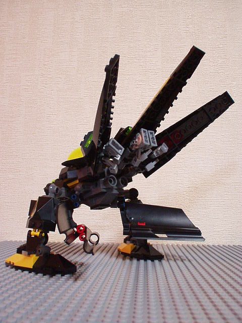 06.jpg