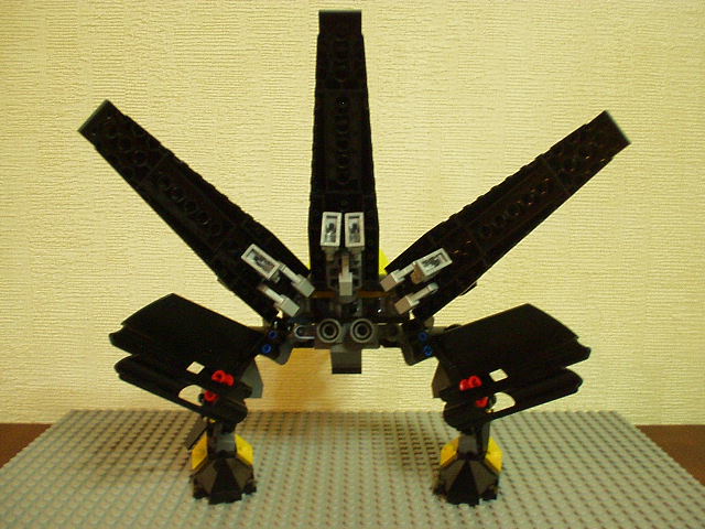 13.jpg