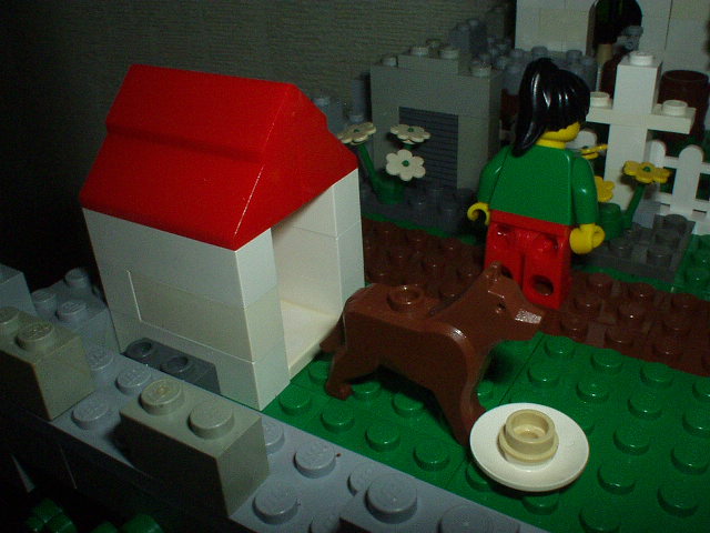 p1010030.jpg