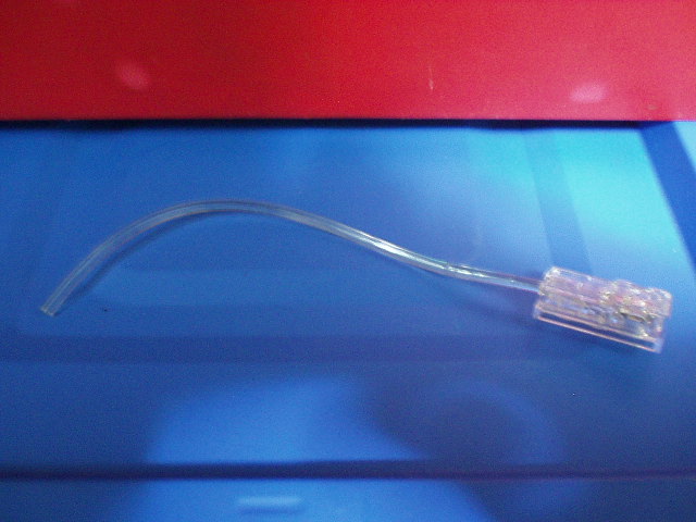 p1010001.jpg