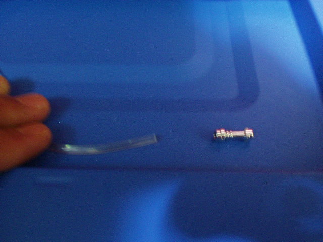 p1010007.jpg