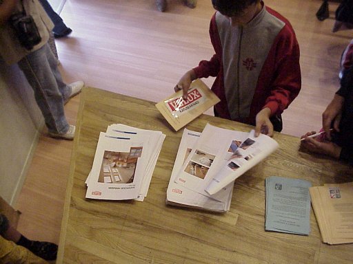 33_velux_leaflets.jpg