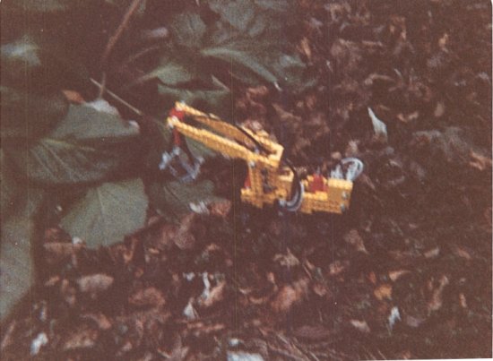 xmas1984_2.jpg