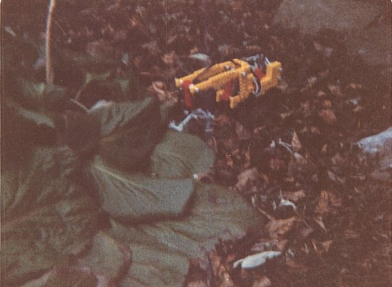 xmas1984_3.jpg