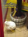 60_showcase5.jpg