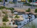 dscn0381.jpg