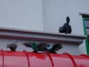 dscn0471.jpg