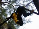 dscn0481.jpg