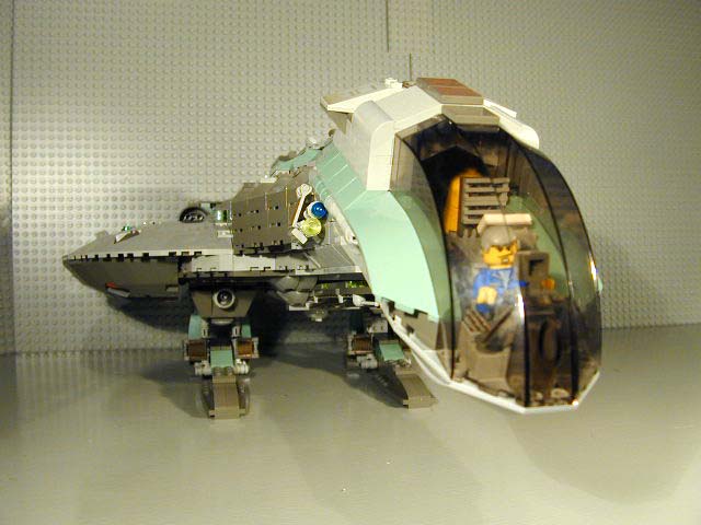 candiru02.jpg
