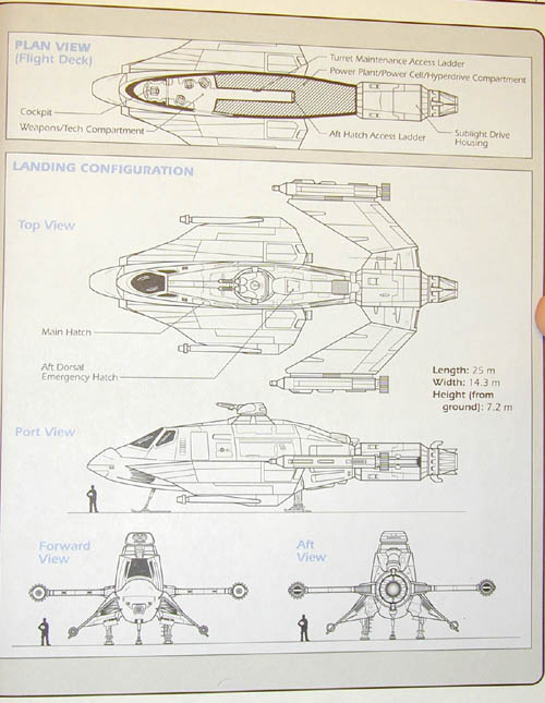 skipray13.jpg