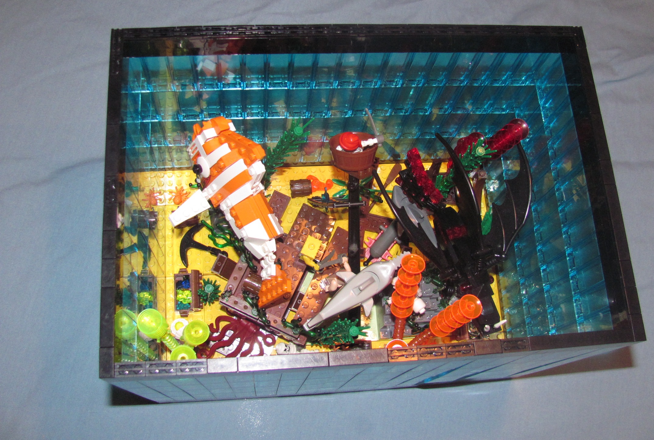 fish_tank_028.jpg
