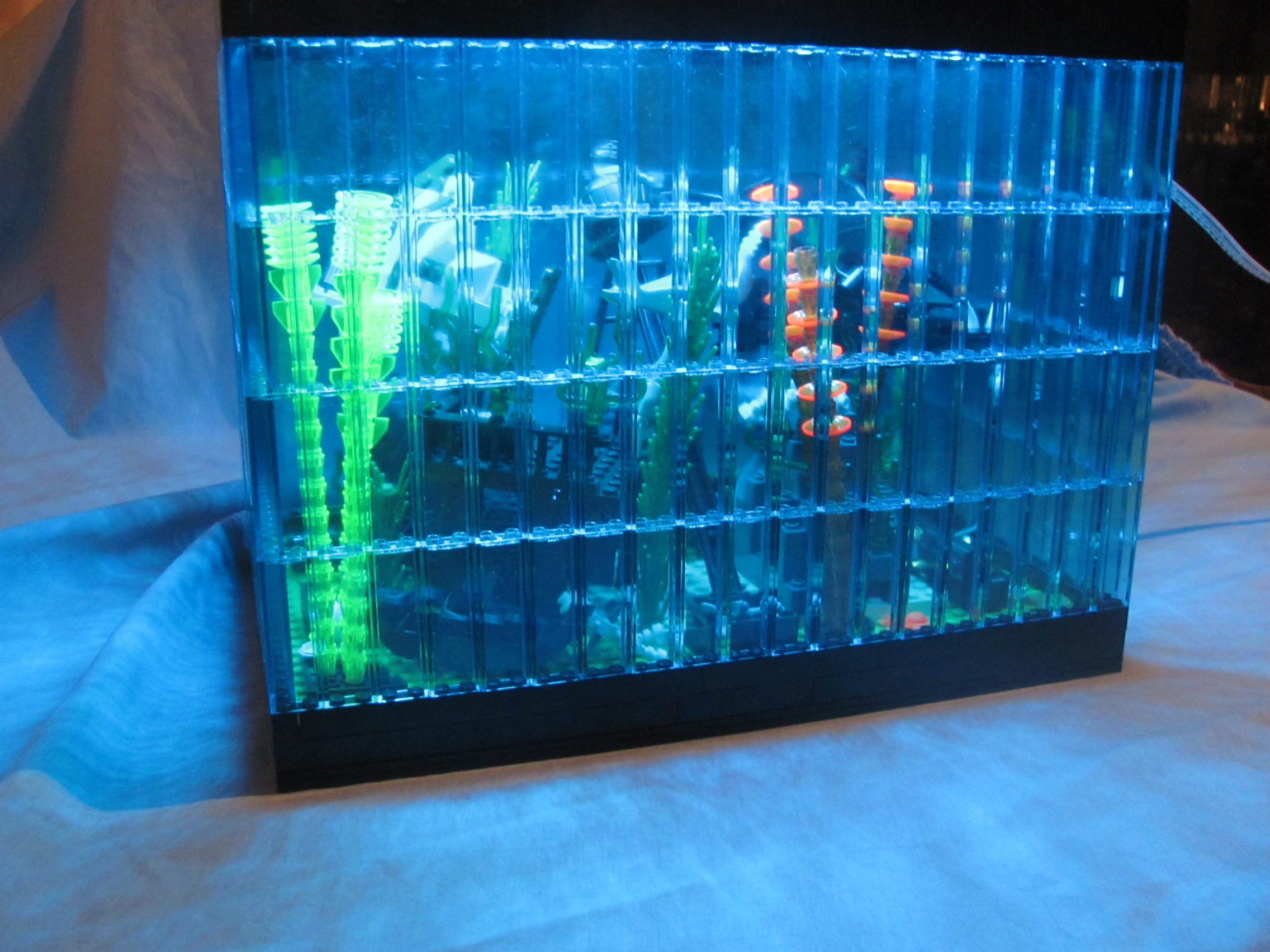 fish_tank_034.jpg