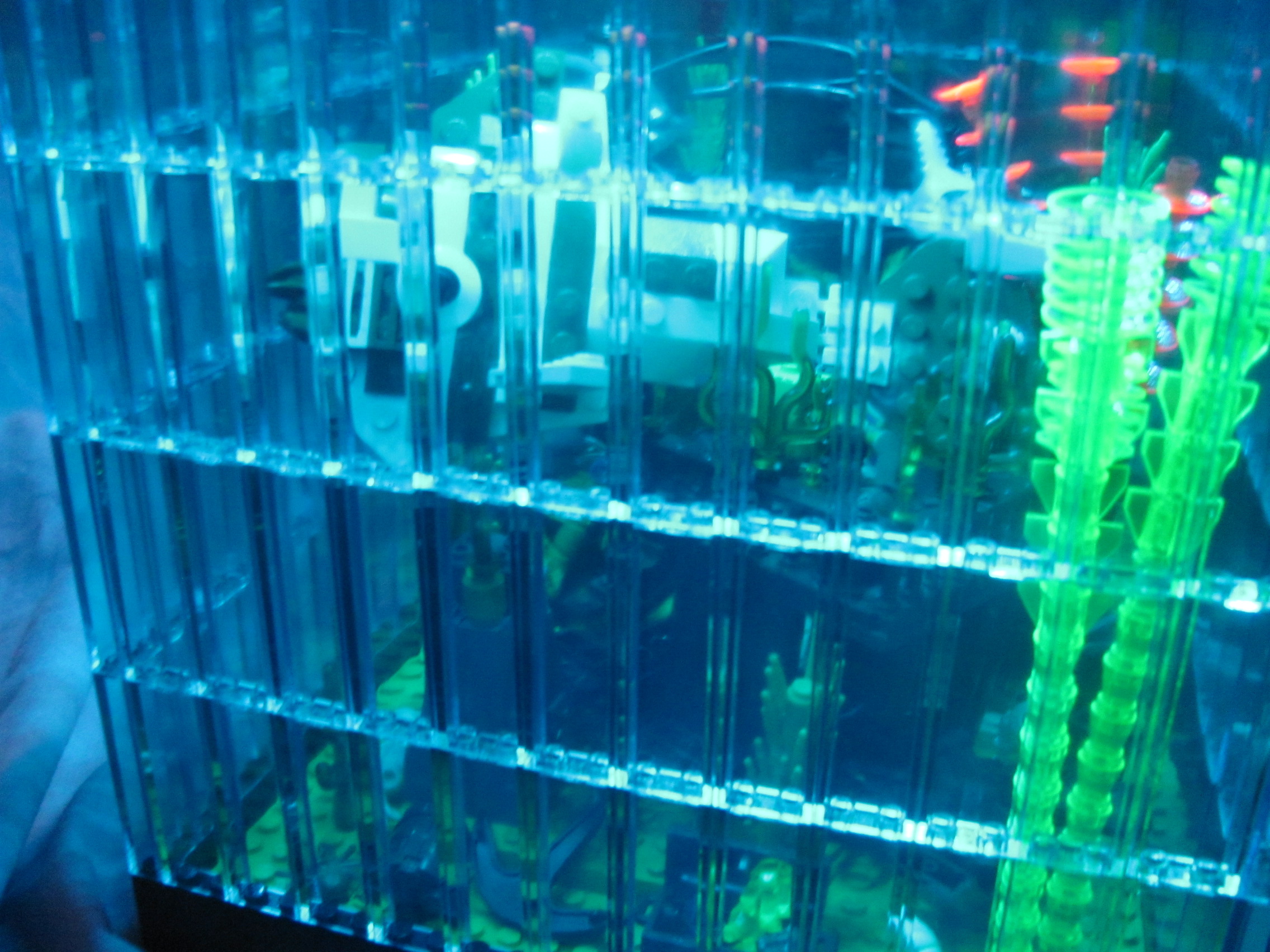 fish_tank_036.jpg