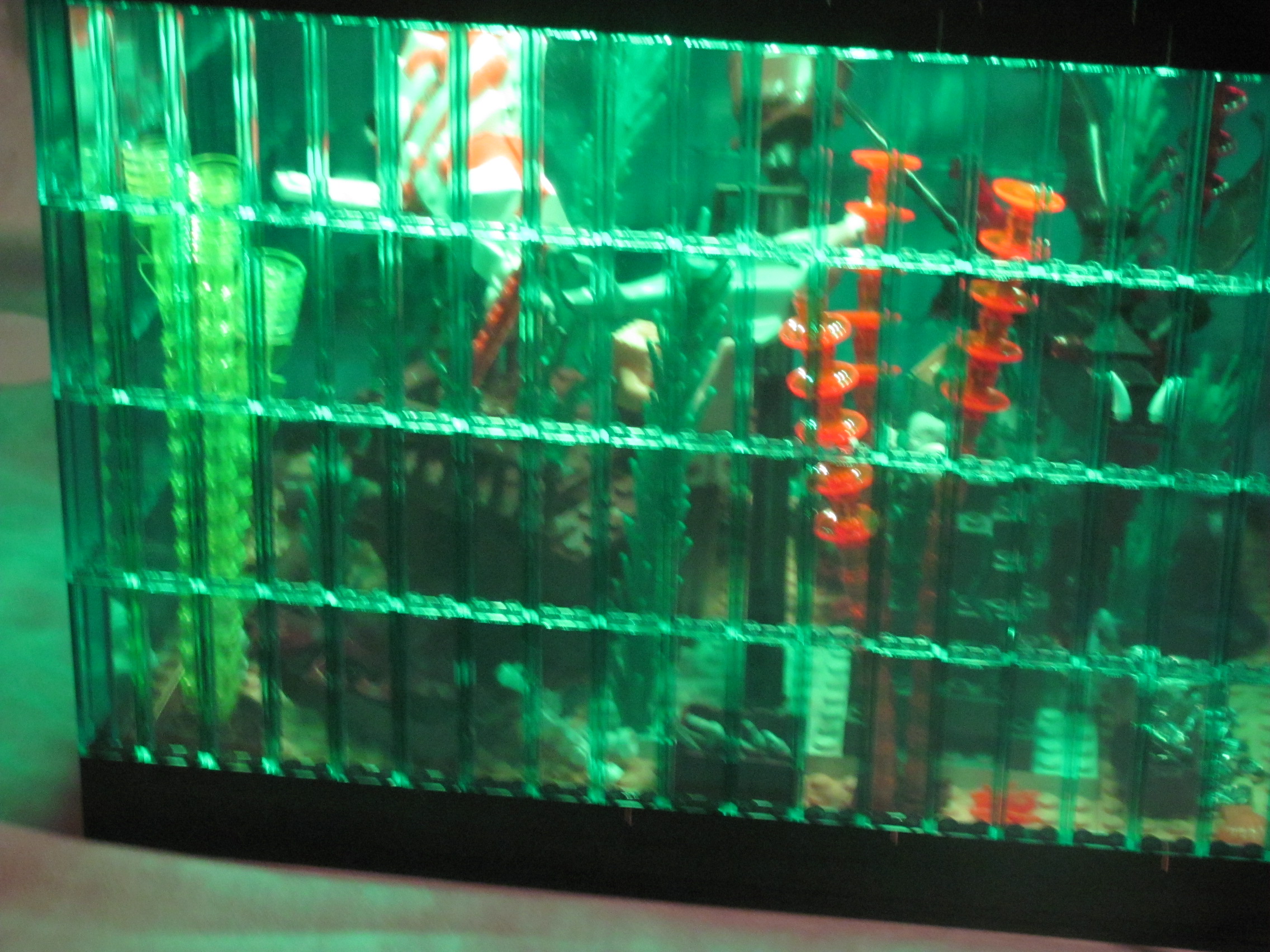 fish_tank_046.jpg